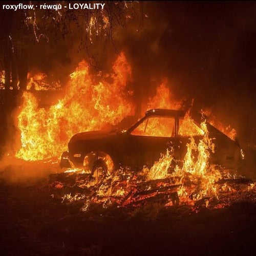LOYALITY