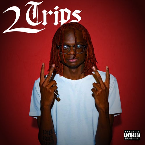 2 TRIPS
