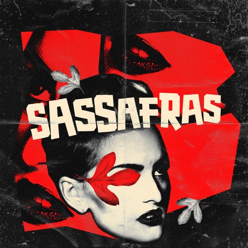 Sassafras