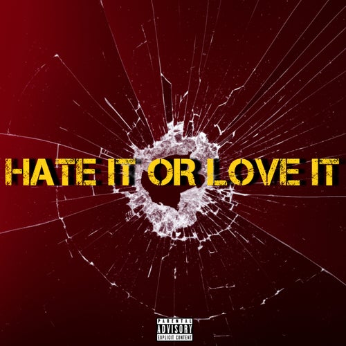 Hate it or Love it Freestyle