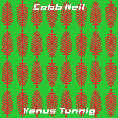Venus Tunnig