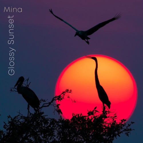 Glossy Sunset