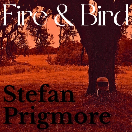 Fire & Bird