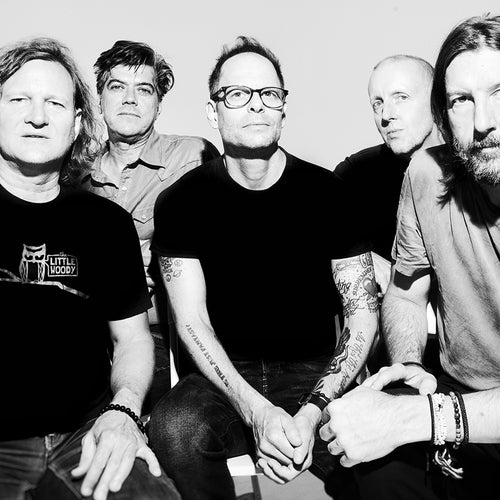 Gin Blossoms Profile