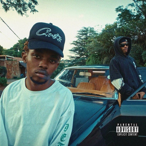 Release of the week