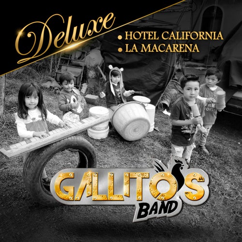 Gallitos Band