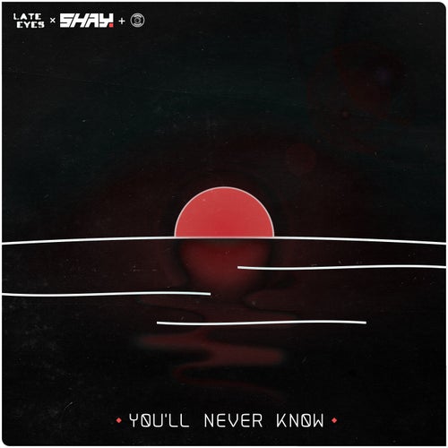 YØU'LL NEVER KNØW
