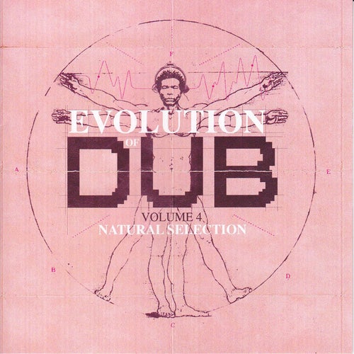 Evolution Of Dub Vol 4
