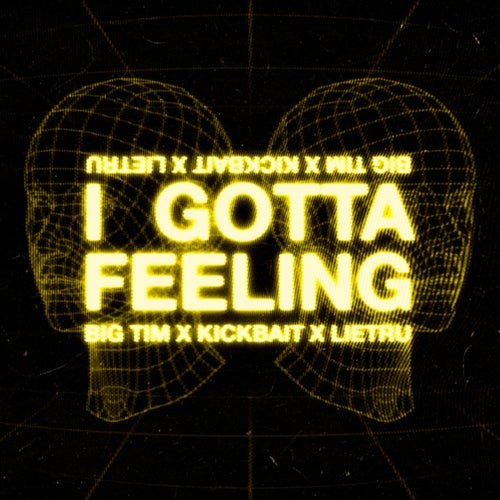 I Gotta Feeling (Extended Mix)