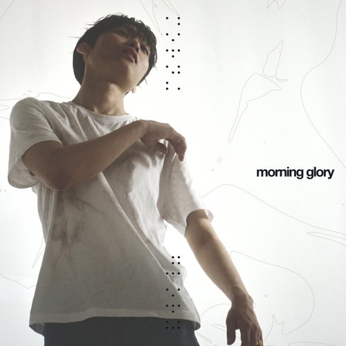 Morning Glory