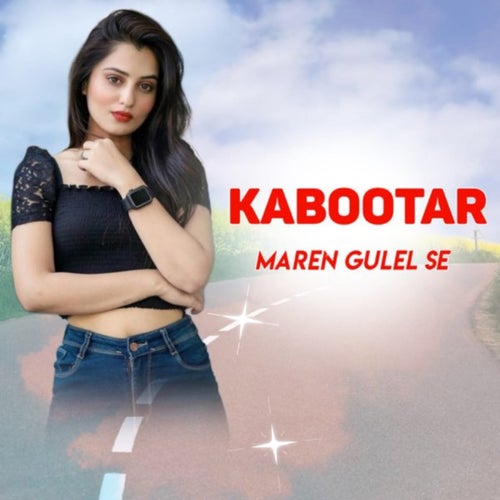 Kabootar Maren Gulel Se