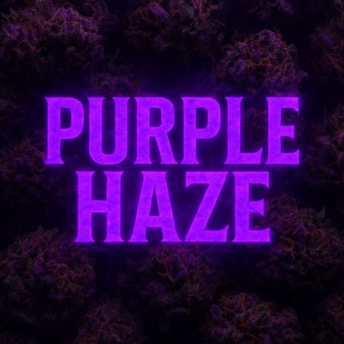 Purple Haze