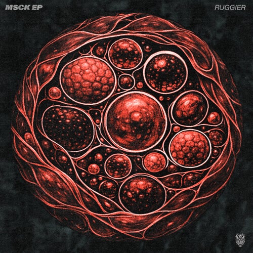 MSCK EP