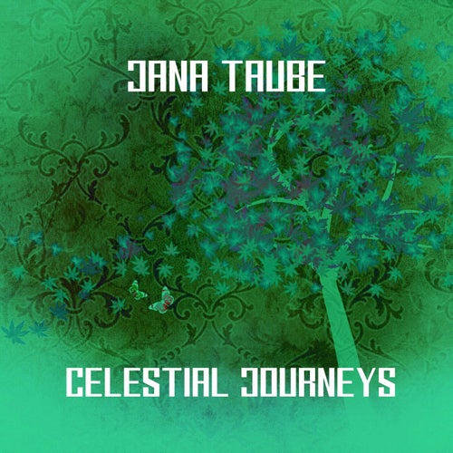 Celestial Journeys