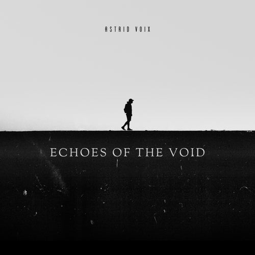 Echoes of the Void