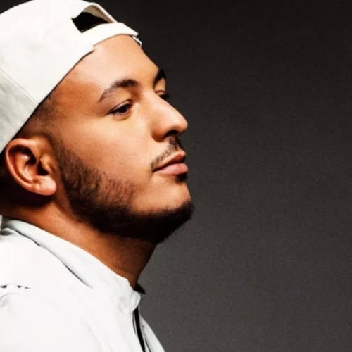 Hornet la Frappe Profile