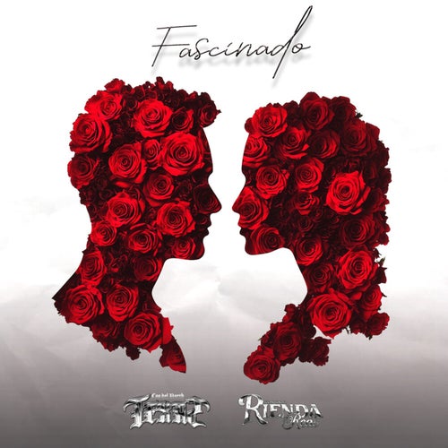 Fascinado