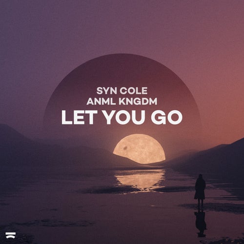 Let You Go (Extended Mix)