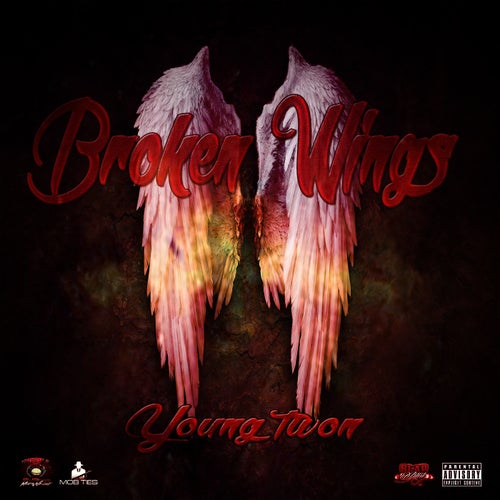 Broken Wings