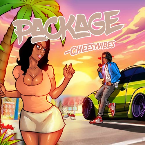 Package