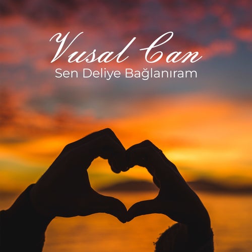 Sen Deliye Bağlanıram