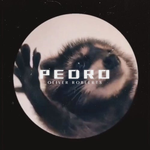 Pedro Pedro Pedro (Hardstyle)