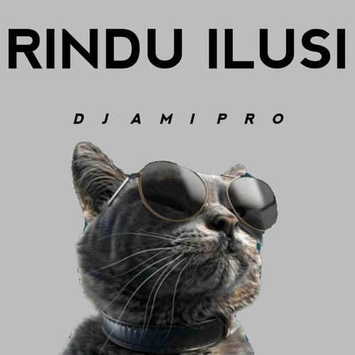 DJ rindu ilusi