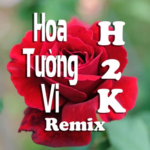 Hoa Tường Vi (KENR x HHD)