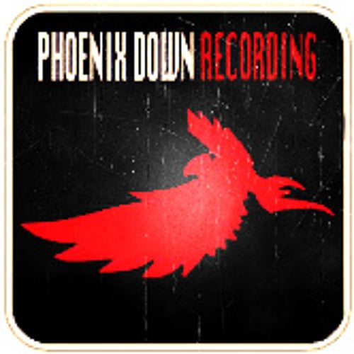 Phoenix Down Profile