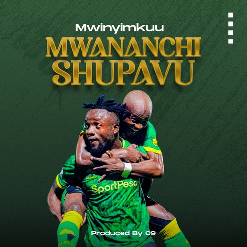 Mwananchi Shupavu