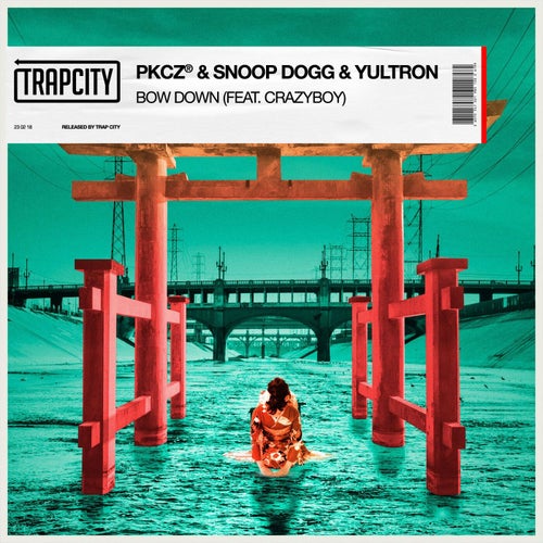 BOW DOWN (feat. CRAZYBOY) (Extended Mix)