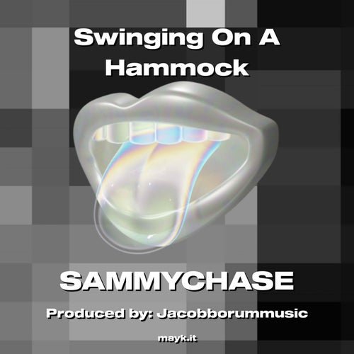 Swinging On A Hammock