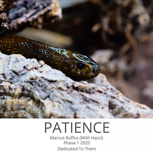 Patience