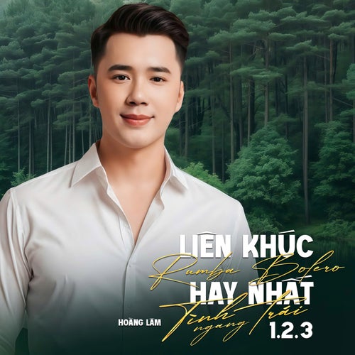 Liên Khúc Rumba Bolero Hay Nhất 2025 - Tình Ngang Trái 1.2.3