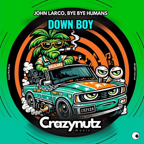 Down Boy (Radio Edit)