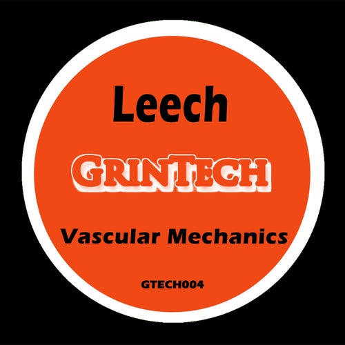 Vascular Mechanics