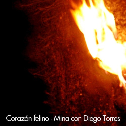 Corazon felino (feat. Diego Torres)