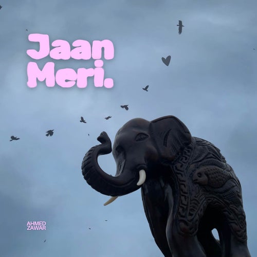 Jaan Meri