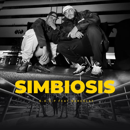 Simbiosis