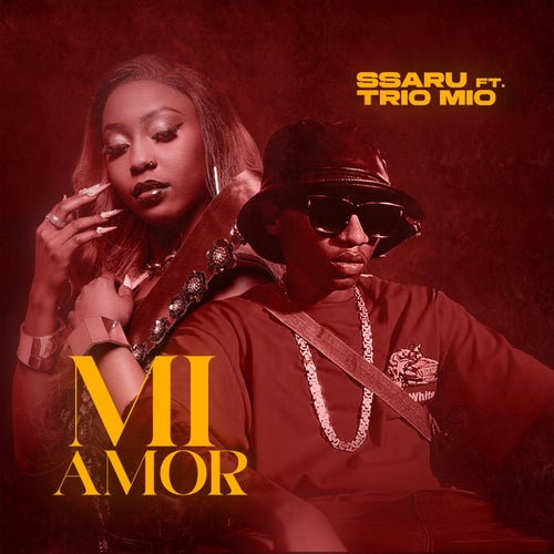 Mi-Amor (feat. Trio Mio)