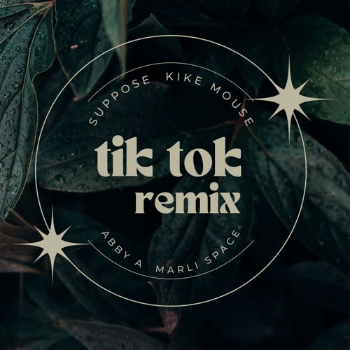 Tik Tok (Remix)