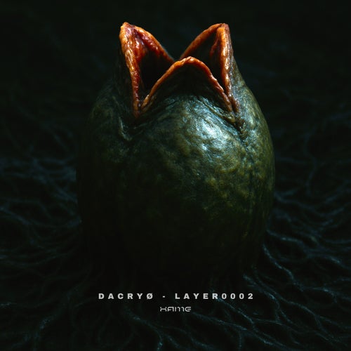 Layer0002