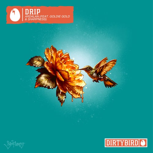 Release of the week