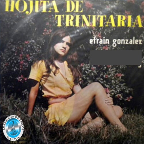 Hojita de Trinitaria