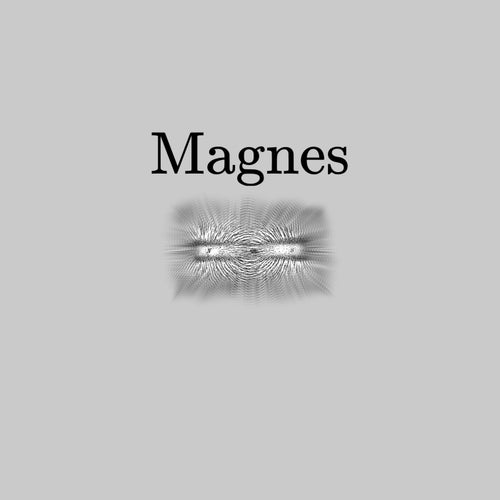 Magnes