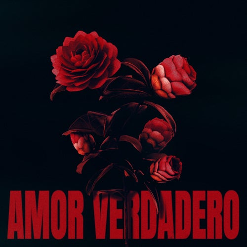Amor Verdadero