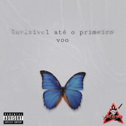 Invisivel atè o primeiro voo