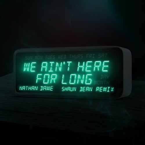 We Ain't Here For Long (Shaun Dean Remix, Extended Mix)