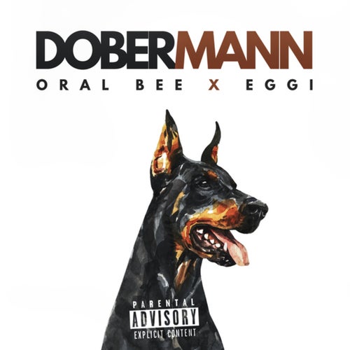 Dobermann