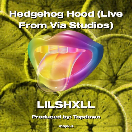 Hedgehog Hood (Live From Via Studios)